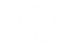 Môi trường đô thị Thái Bình