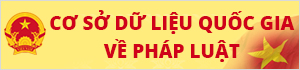 Hình 5